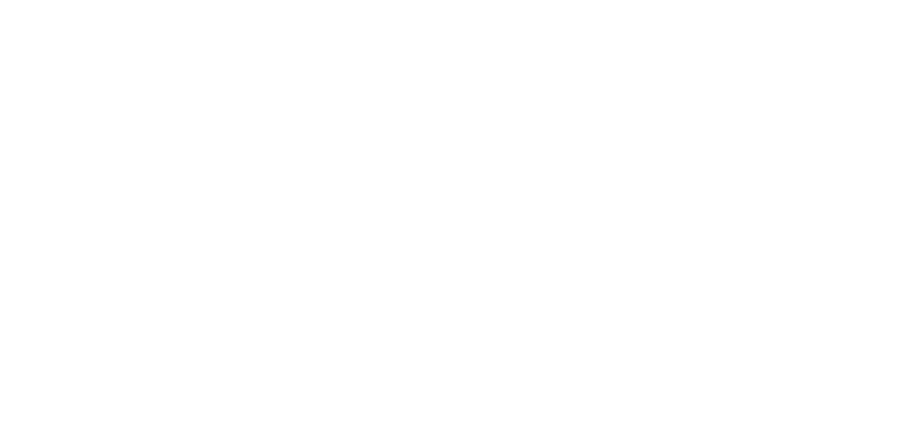 die kleine Linde Braunschweig